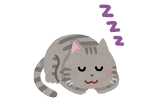 sleep_animal_cat