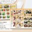 161003_fujituonsen_menu